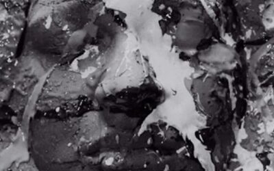 Our Favorite Songs of the Week (Playlist)